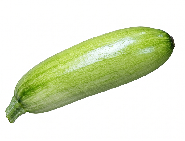 애호박